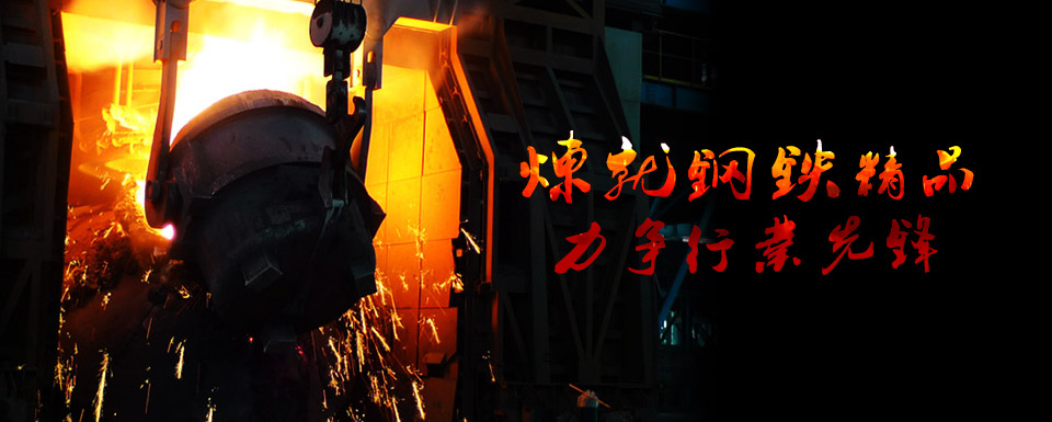 Guangdong Daming Steel Industrial Co. Ltd.